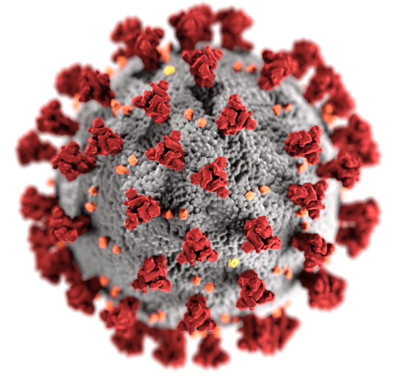 Informationen zum Dienstbetrieb in Zeiten des Corona-Virus